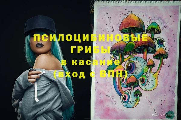 мет Новодвинск